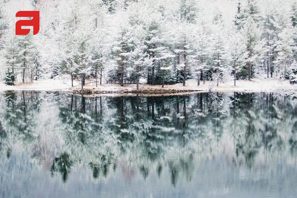 Технологии природы. Принцип работы холодильников ASKO Nordic Fresh Технологии природы. Принцип работы холодильников ASKO Nordic Fresh